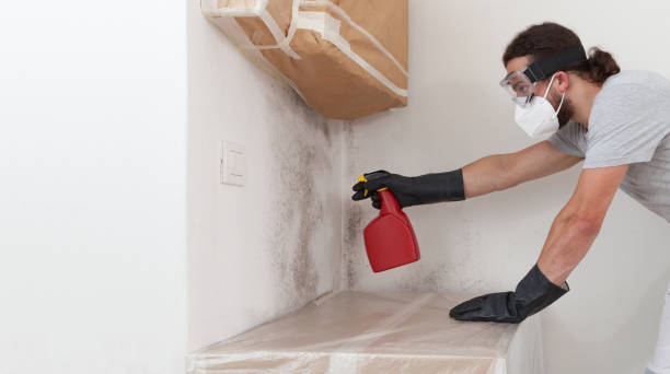 Professional Bathroom Mold Removal technician working in Farmville, NC